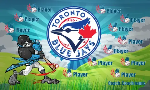 Toronto 2 Baseball Banner-softball-banner-picture-ideas-picture