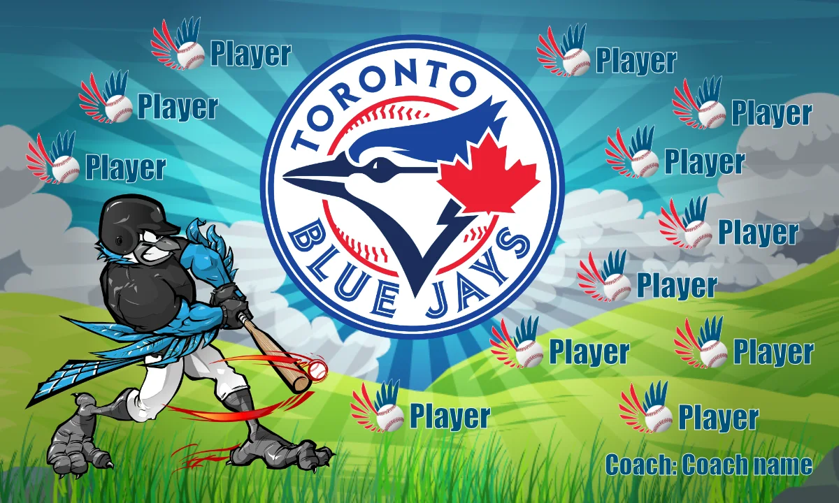 Toronto 2 Baseball Banner-softball-banner-picture-ideas-picture