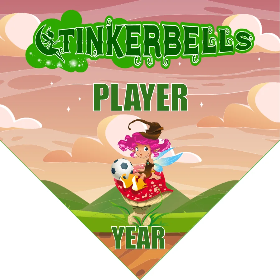 Tinkerbells Soccer Banner-soccer-banner-ideas-picture