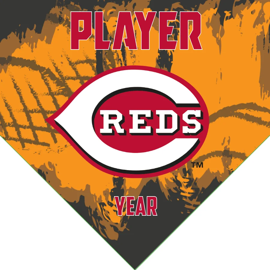 Cincinnati Reds Baseball Banner-baseball-dugout-banners-images