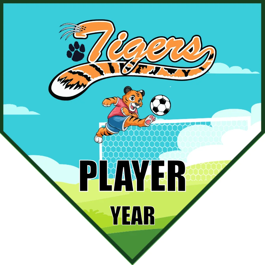 Tigers 2 Soccer Banner-soccer-banners-near-me-picture