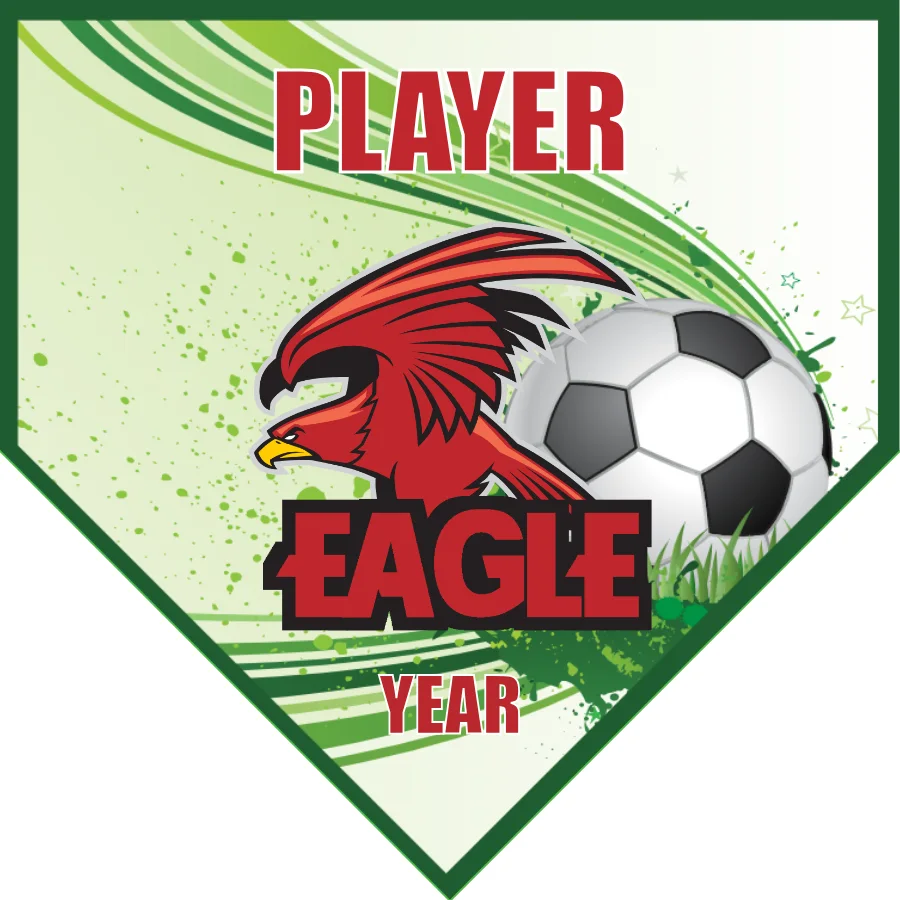 Eagle 01 Soccer Banner-soccer-banners-bakersfield-picture