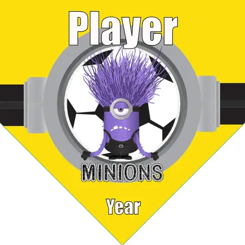 Purple minions Panthers Soccer Banner-soccer-team-banner-ideas-picture