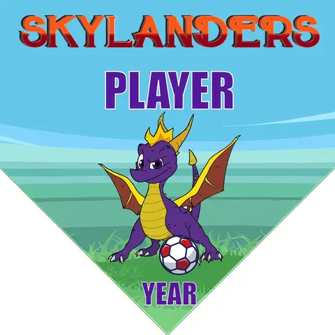 Skylanders Soccer Banner-soccer-banner-size-picture