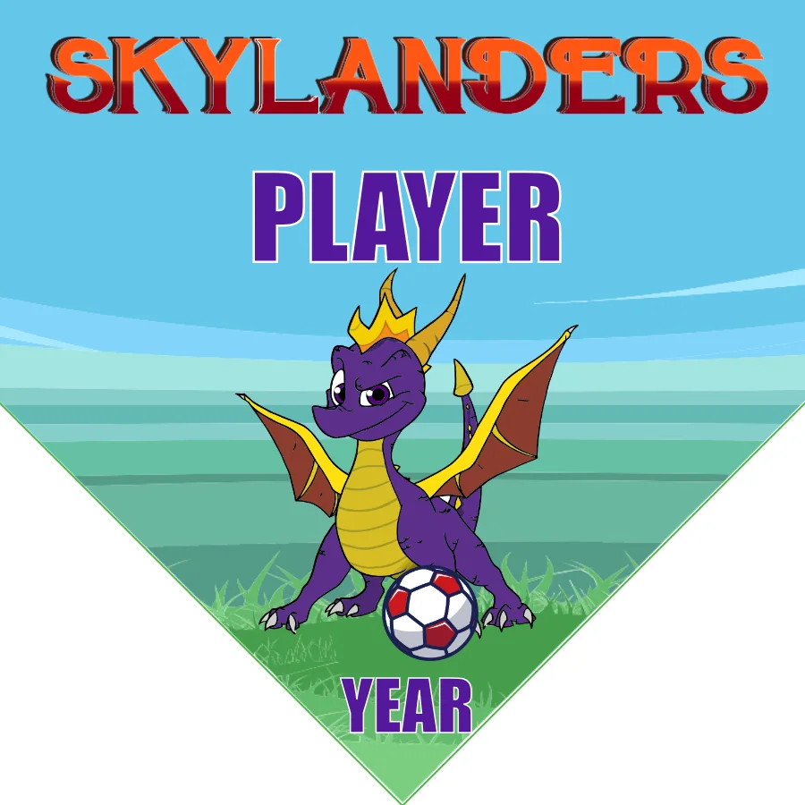 Skylanders Soccer Banner-soccer-banner-size-picture