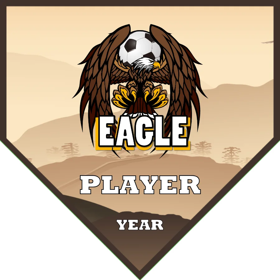 Eagle Soccer Banner-soccer-banners-with-stand-picture