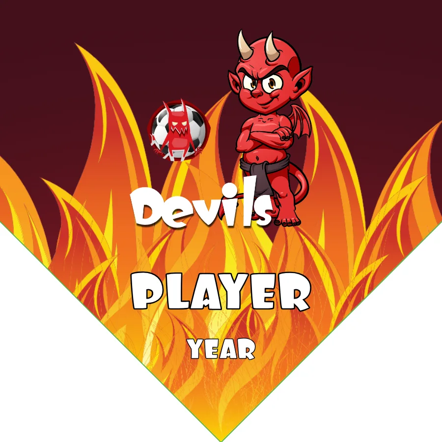 Devils Soccer Banner-soccer-banner-samples-picture