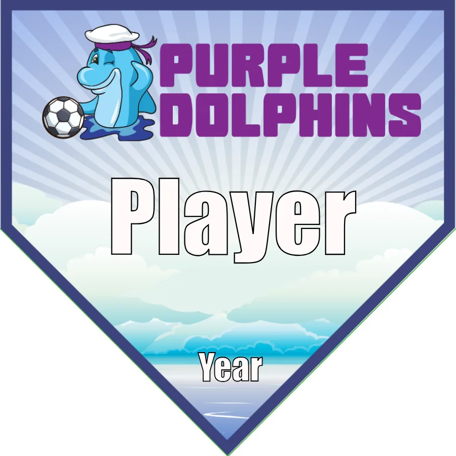 Purple Dolphins Soccer Banner-soccer-team-banner-ideas-picture