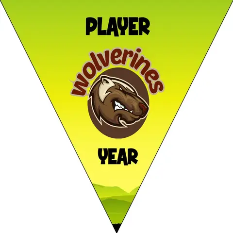 Wolverines Soccer Banner-soccer-party-banner-picture