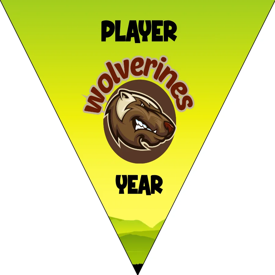 Wolverines Soccer Banner-soccer-party-banner-picture