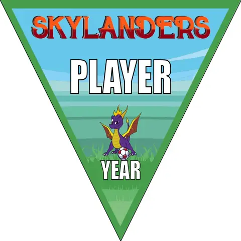 Skylanders Soccer Banner-soccer-team-banner-ideas-picture