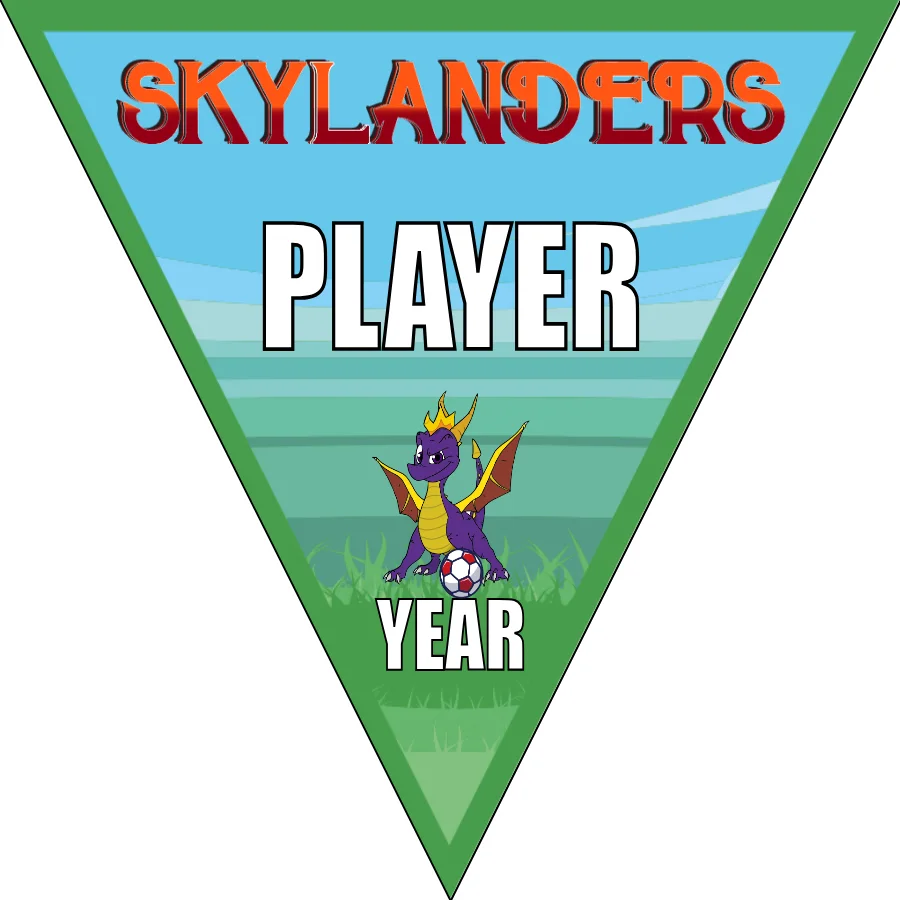 Skylanders Soccer Banner-soccer-team-banner-ideas-picture