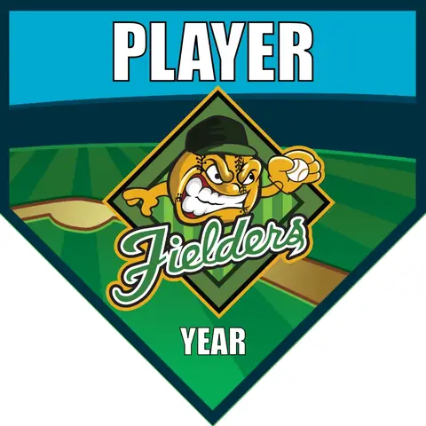Fielders 2-green-yellow-home-softball-team-banner-ideas-picture