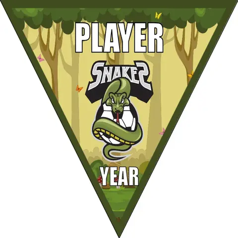 Snakes Soccer Banner-youth-soccer-banners-picture