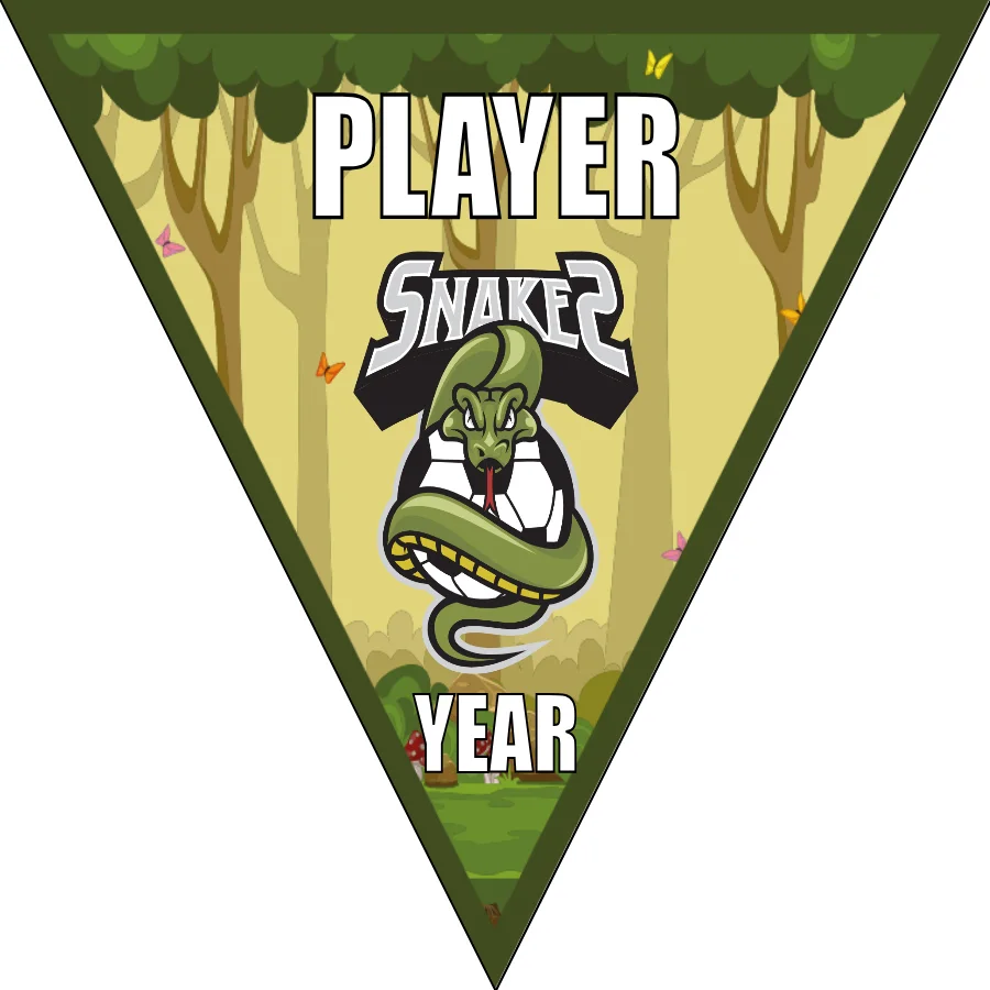 Snakes Soccer Banner-youth-soccer-banners-picture