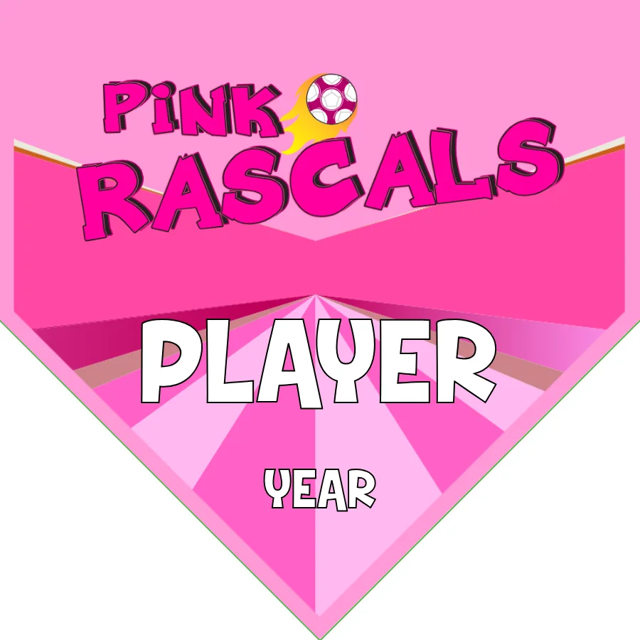 Rascals Pink Soccer Banner-soccer-banner-flags-picture