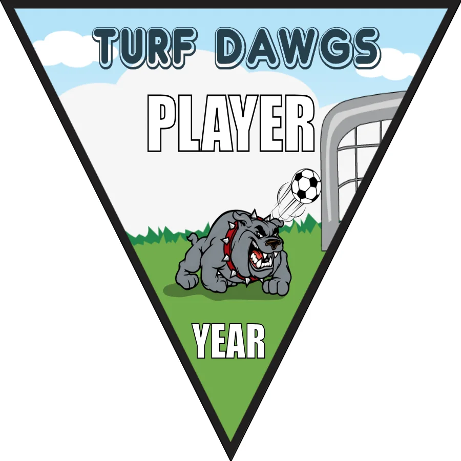 Dawgs Turf Soccer Banner-soccer-banner-stand-pvc-picture