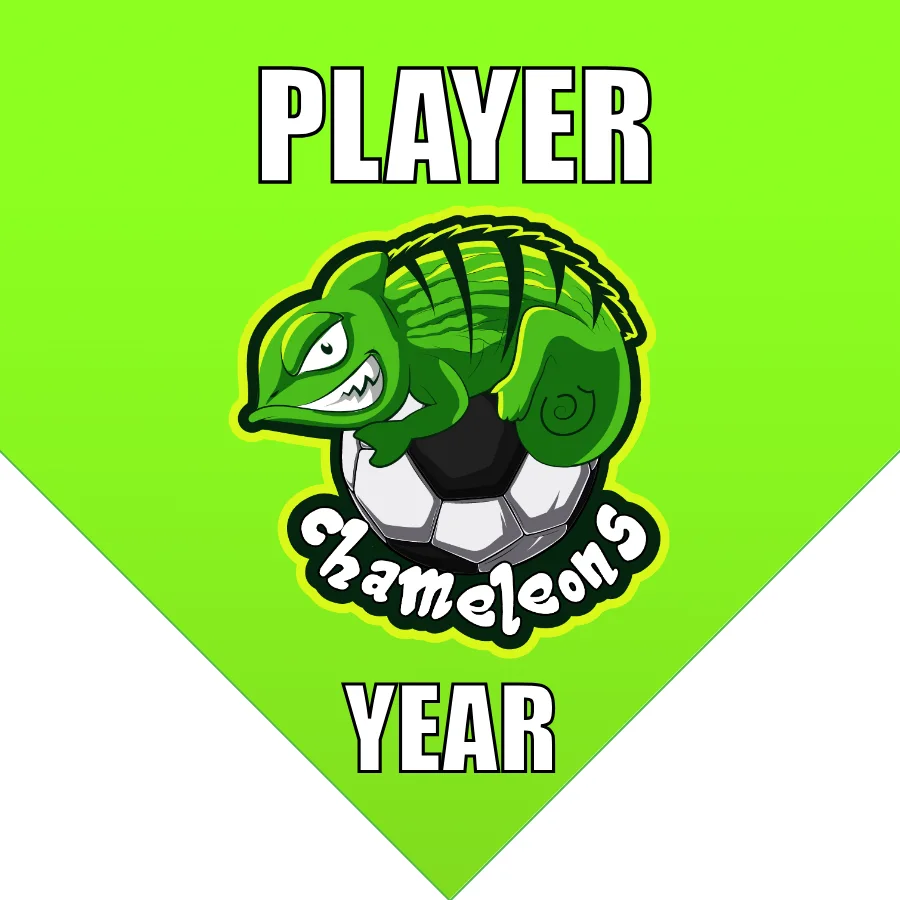Chameleons  Soccer Banner-soccer-banner-gallery-picture