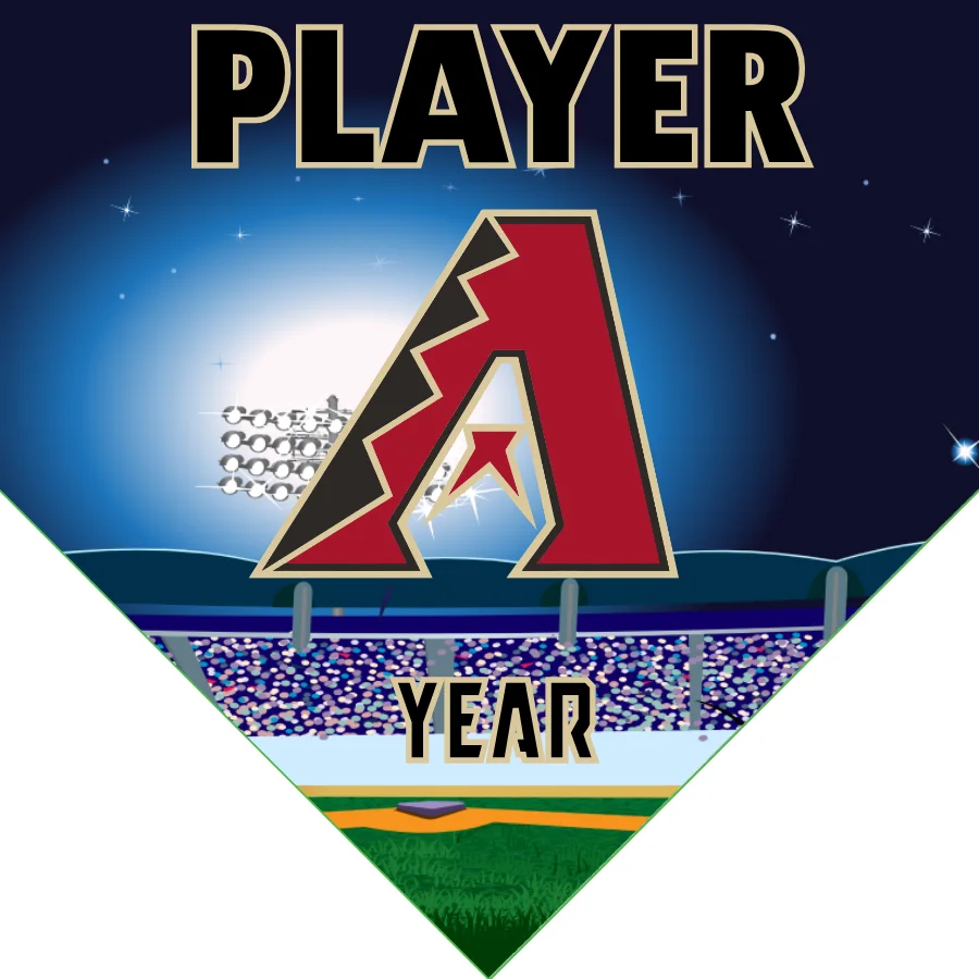 Arizona Baseball Banner-order-baseball-banner-images