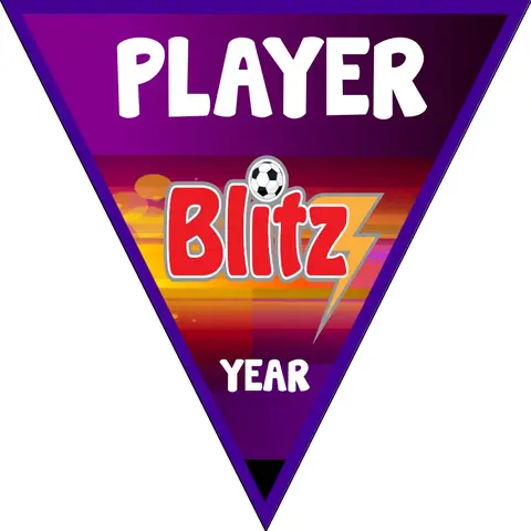 Blitz Soccer Banner-soccer-banner-instructions-picture