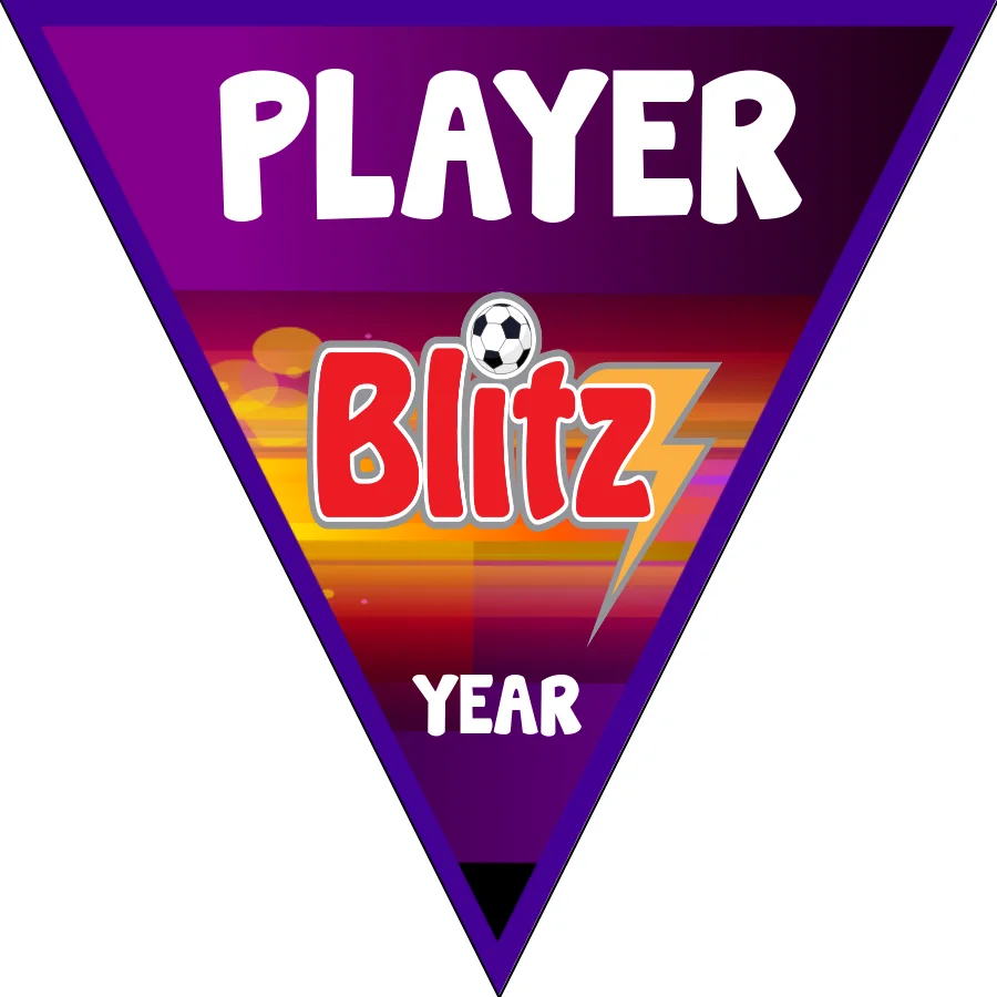 Blitz Soccer Banner-soccer-banner-instructions-picture