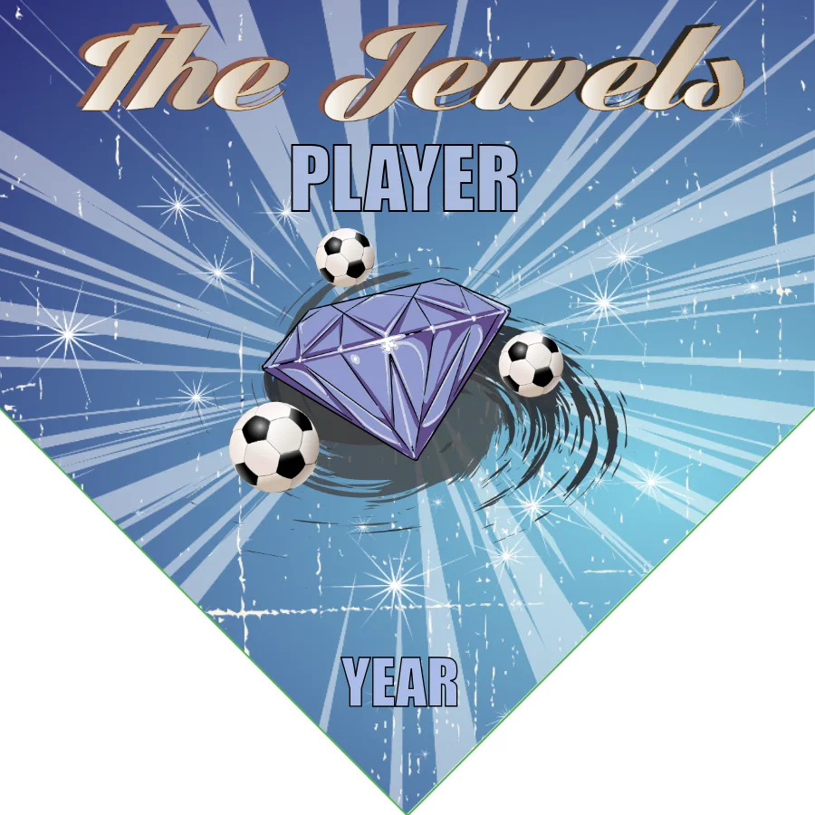 The Jewels Soccer Banner-soccer-banner-flags-picture