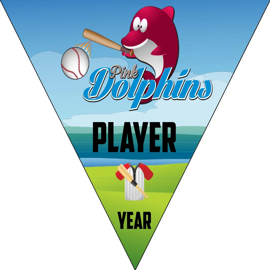 Pink Dolphins 2 Softball Banner-homemade-softball-banners-picture
