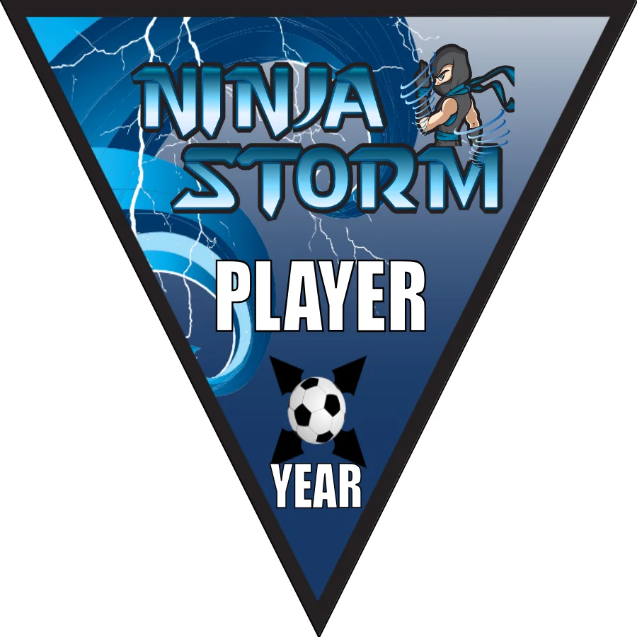Ninja Storm 3 Soccer Banner-soccer-party-banner-picture