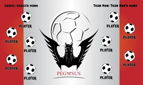 Pegasus Soccer Banner-soccer-party-banner-picture