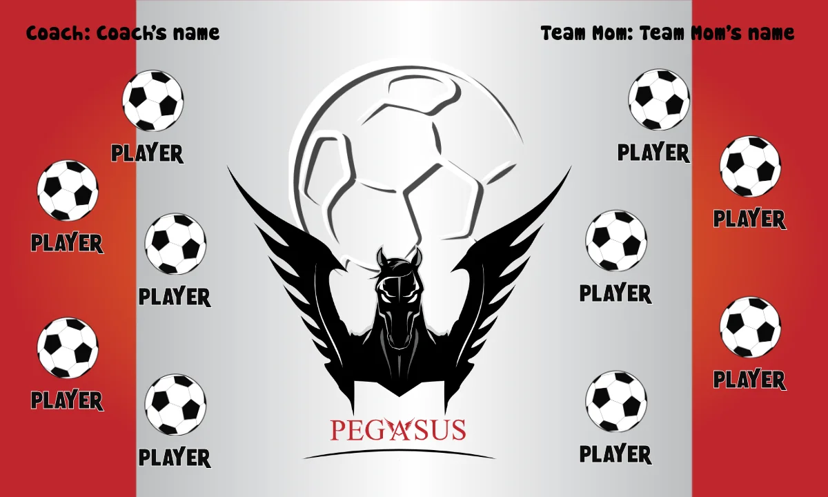 Pegasus Soccer Banner-soccer-party-banner-picture