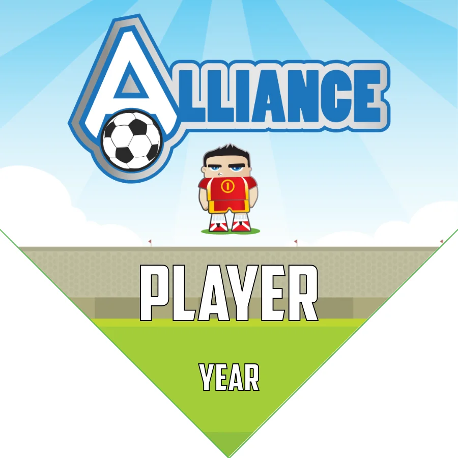Alliance Soccer Banner-soccer-banner-ideas-picture