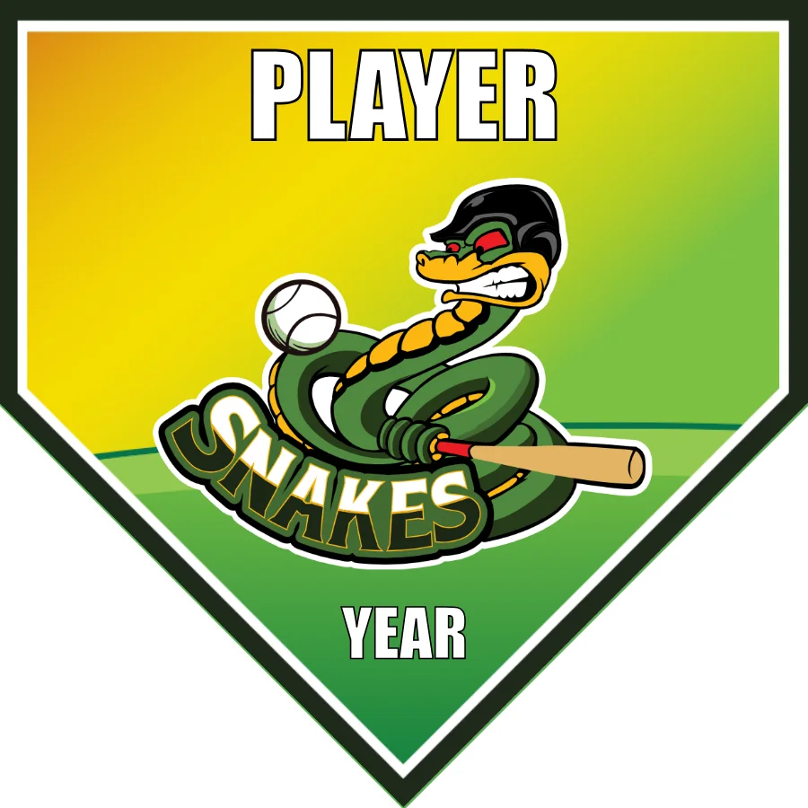 Snakes-green-yellow-home-softball-team-banner-picture