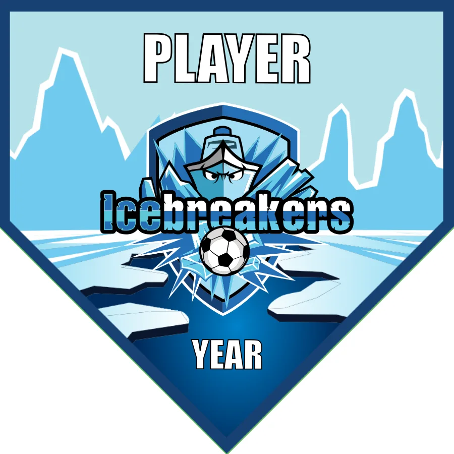 Icebreakers 2 Soccer Banner-soccer-banners-orange-county-picture