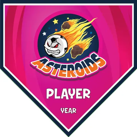 Asteroids 2 Soccer Banner-soccer-banner-gallery-picture