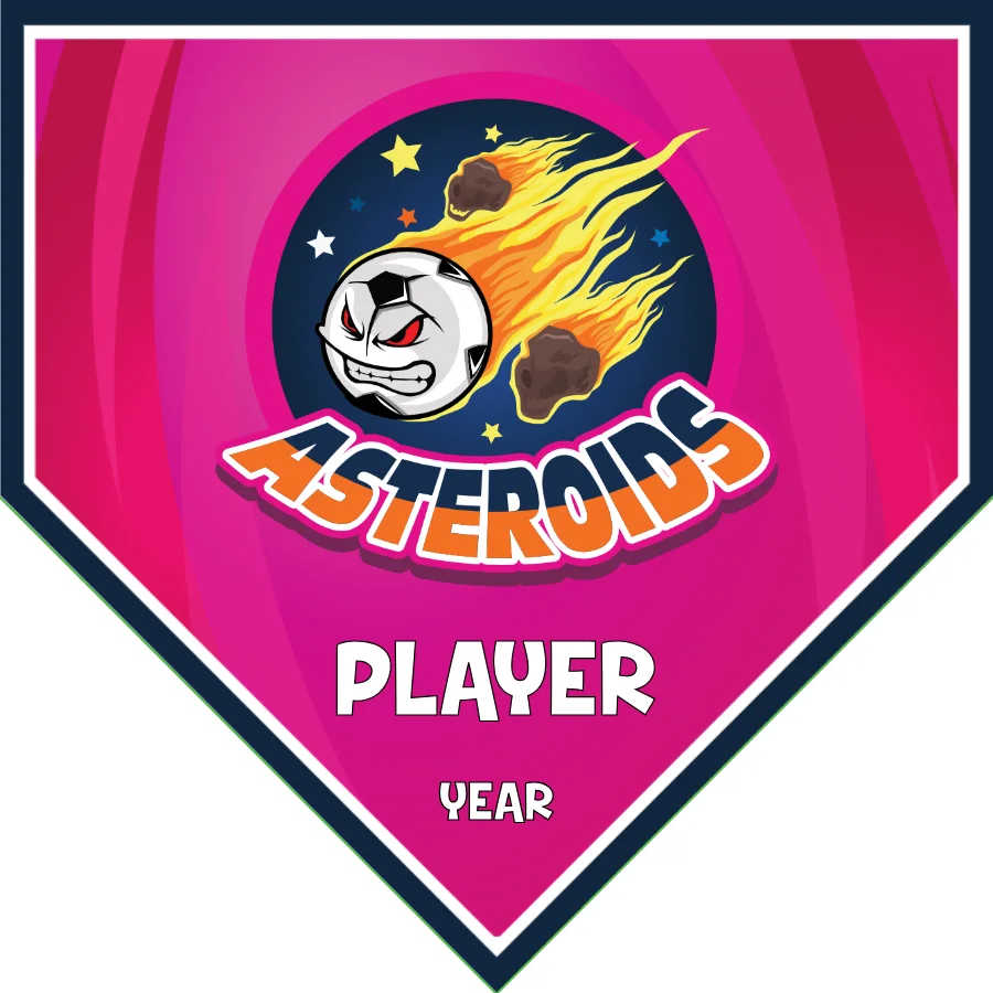 Asteroids 2 Soccer Banner-soccer-banner-gallery-picture