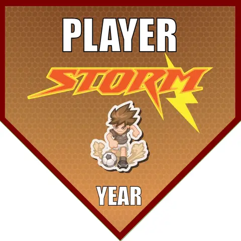 Storm Banner-soccer-team-banner-picture