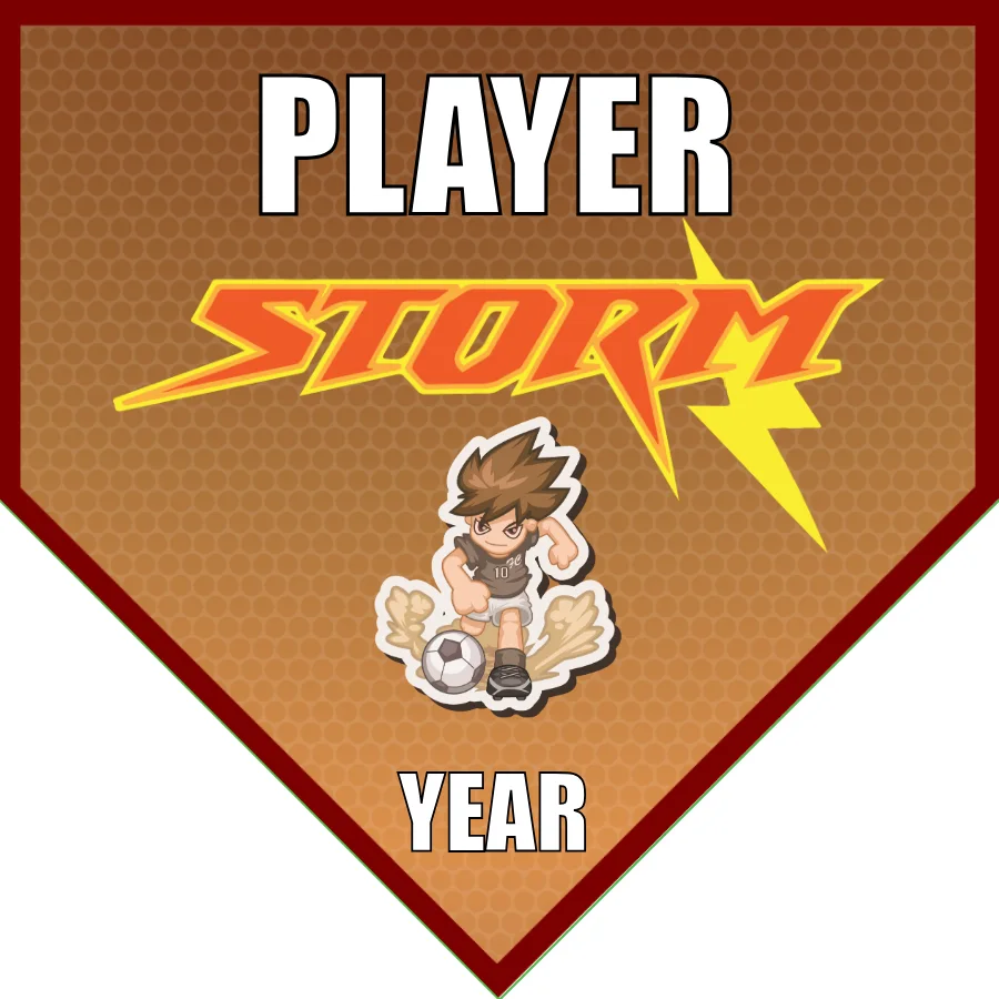 Storm Banner-soccer-team-banner-picture