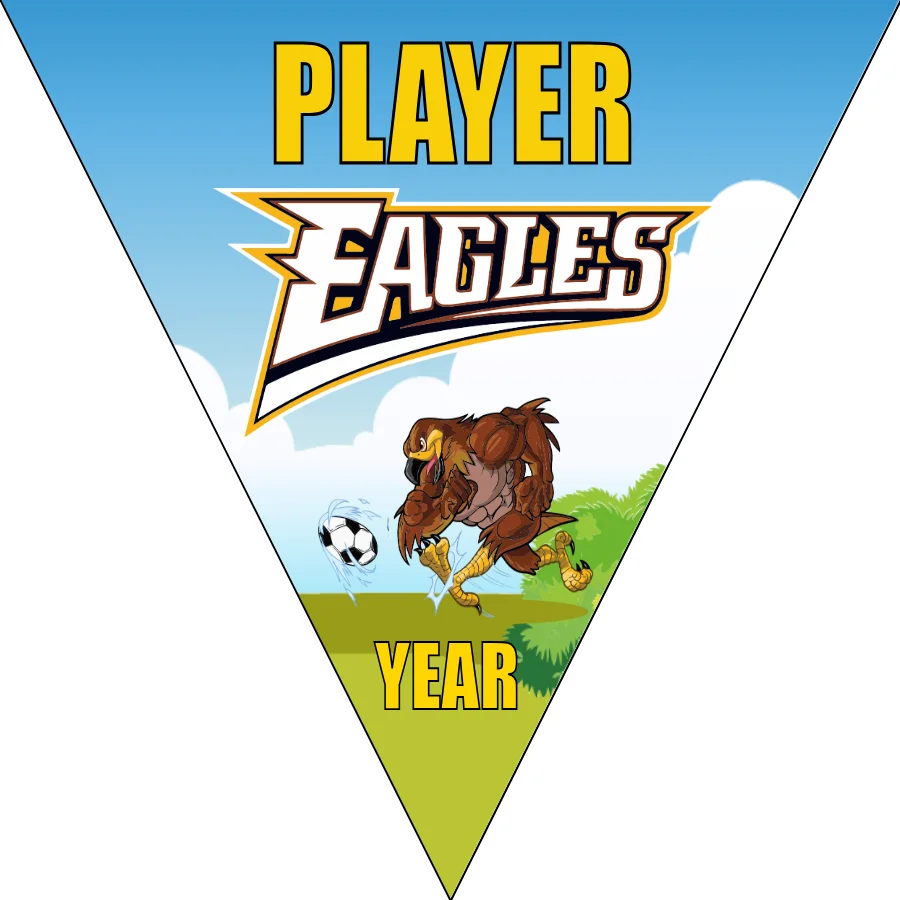 Eagles Soccer Banner-soccer-banner-stand-picture
