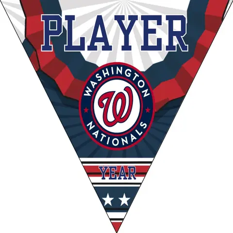 Washington Nationals Baseball Banner-personalized-baseball-birthday-banners-images