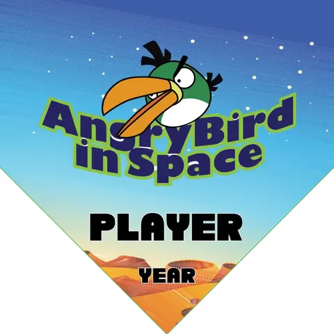 Angry Birds Space 1 Soccer Banner-soccer-banner-images-picture