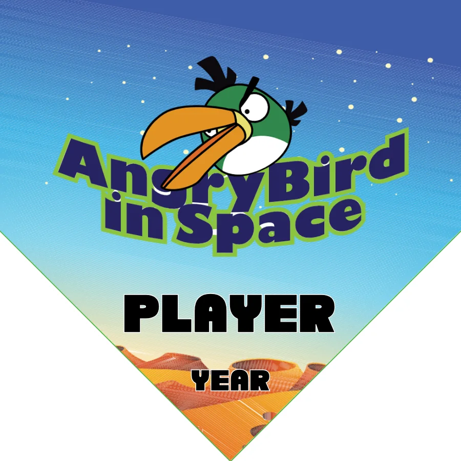 Angry Birds Space 1 Soccer Banner-soccer-banner-images-picture