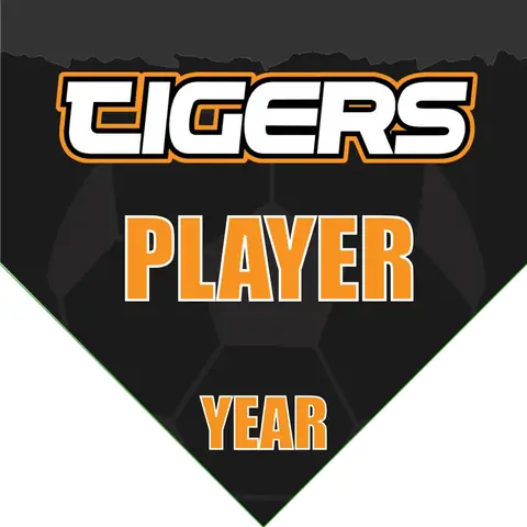 Tigers 4 Soccer Banner-soccer-team-banner-picture