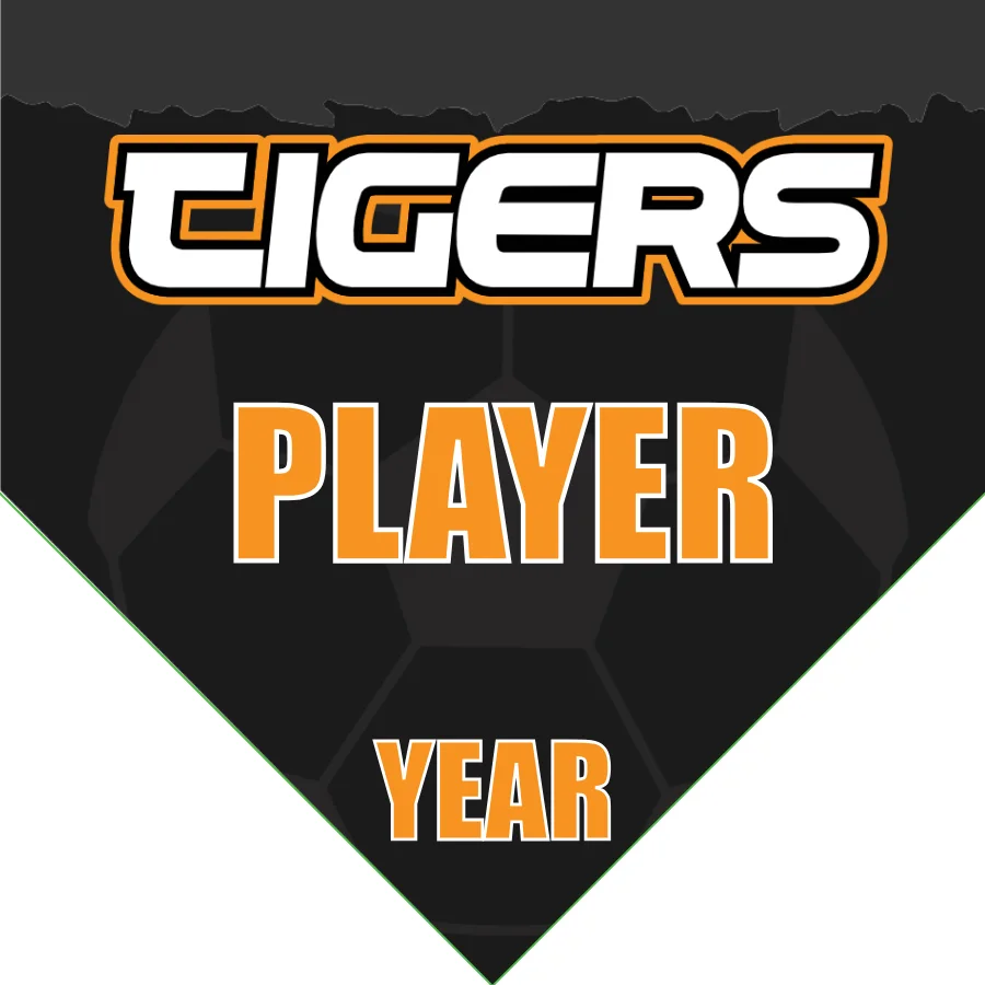 Tigers 4 Soccer Banner-soccer-team-banner-picture