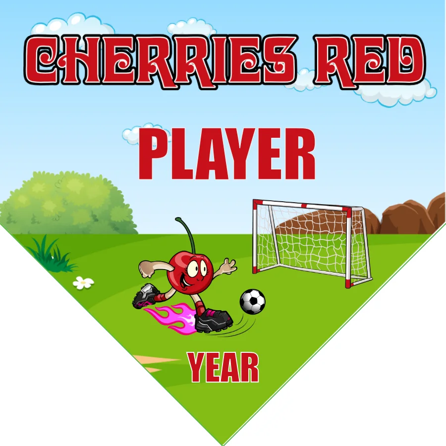 Cherries Red Soccer Banner-soccer-banner-pole-kit-picture
