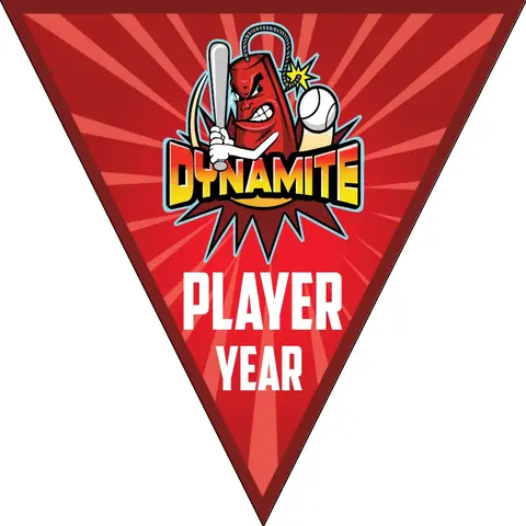 Dynamite-red-pink-triangle-softball-banners-pennants-picture