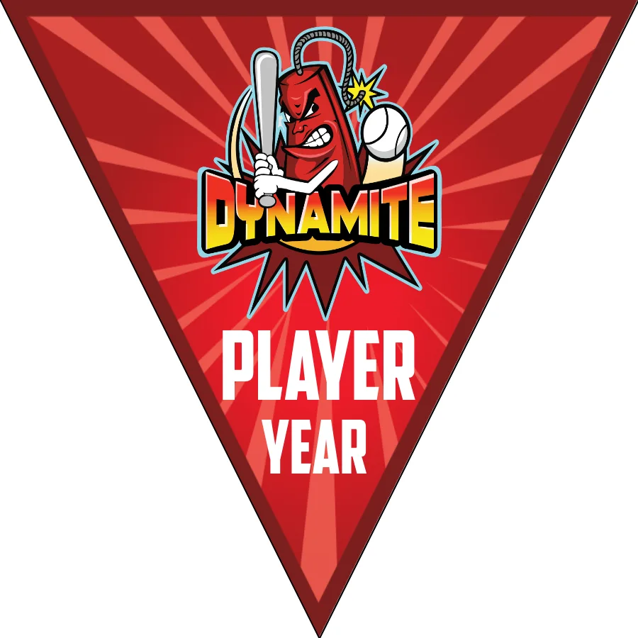 Dynamite-red-pink-triangle-softball-banners-pennants-picture