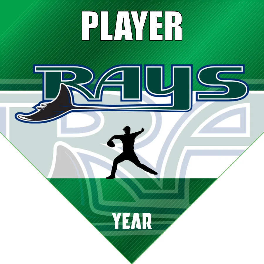 Rays 2 Baseball Banner-baseball-flags-and-banners-images