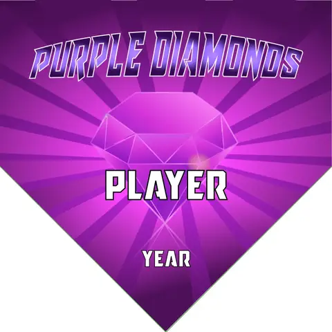 Diamonds Purple Soccer Banner-soccer-team-banner-size-picture
