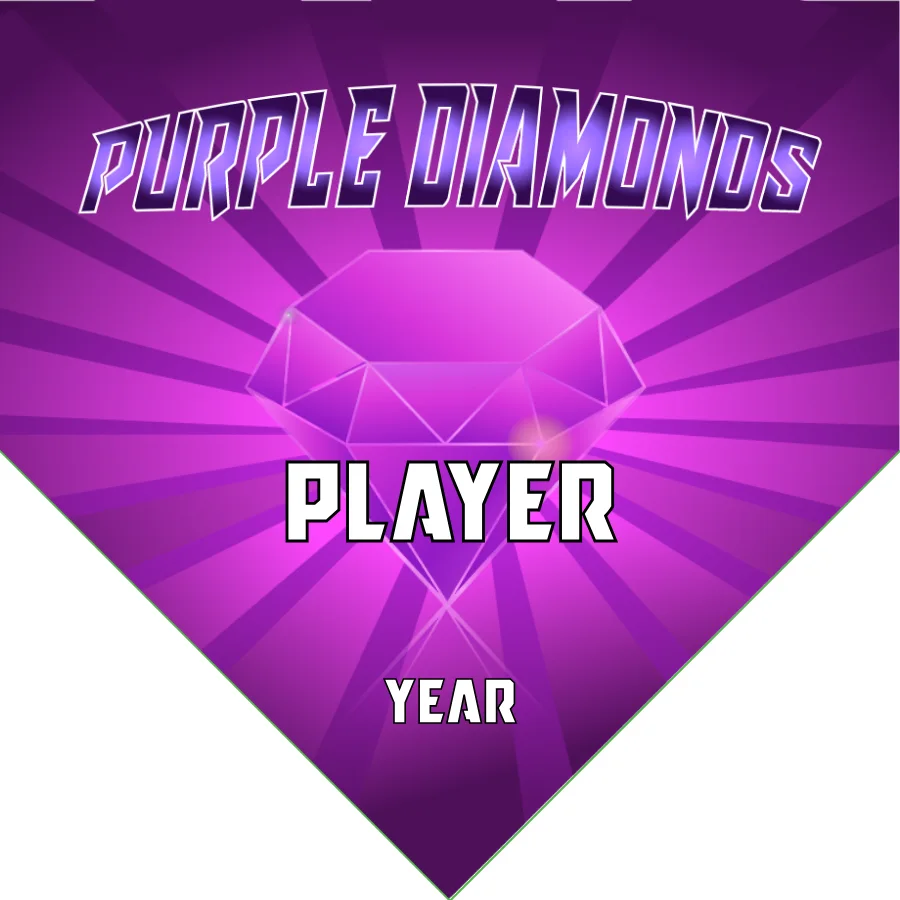 Diamonds Purple Soccer Banner-soccer-team-banner-size-picture