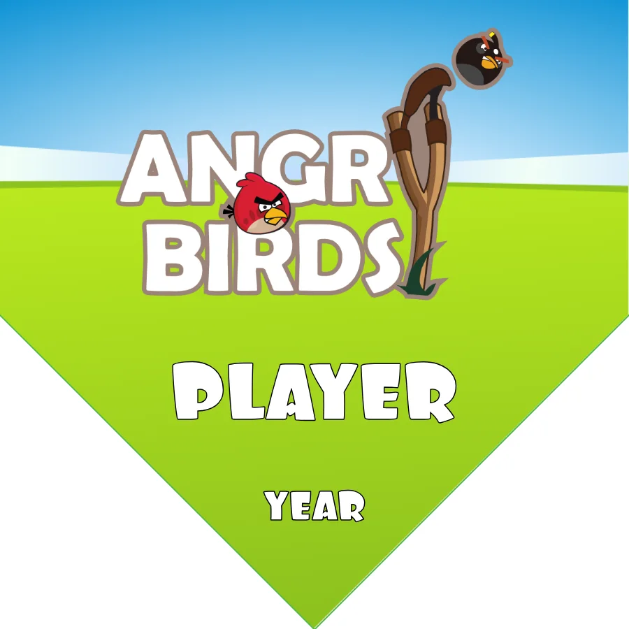 Angry Birds Soccer Banner-soccer-banners-and-flags-picture
